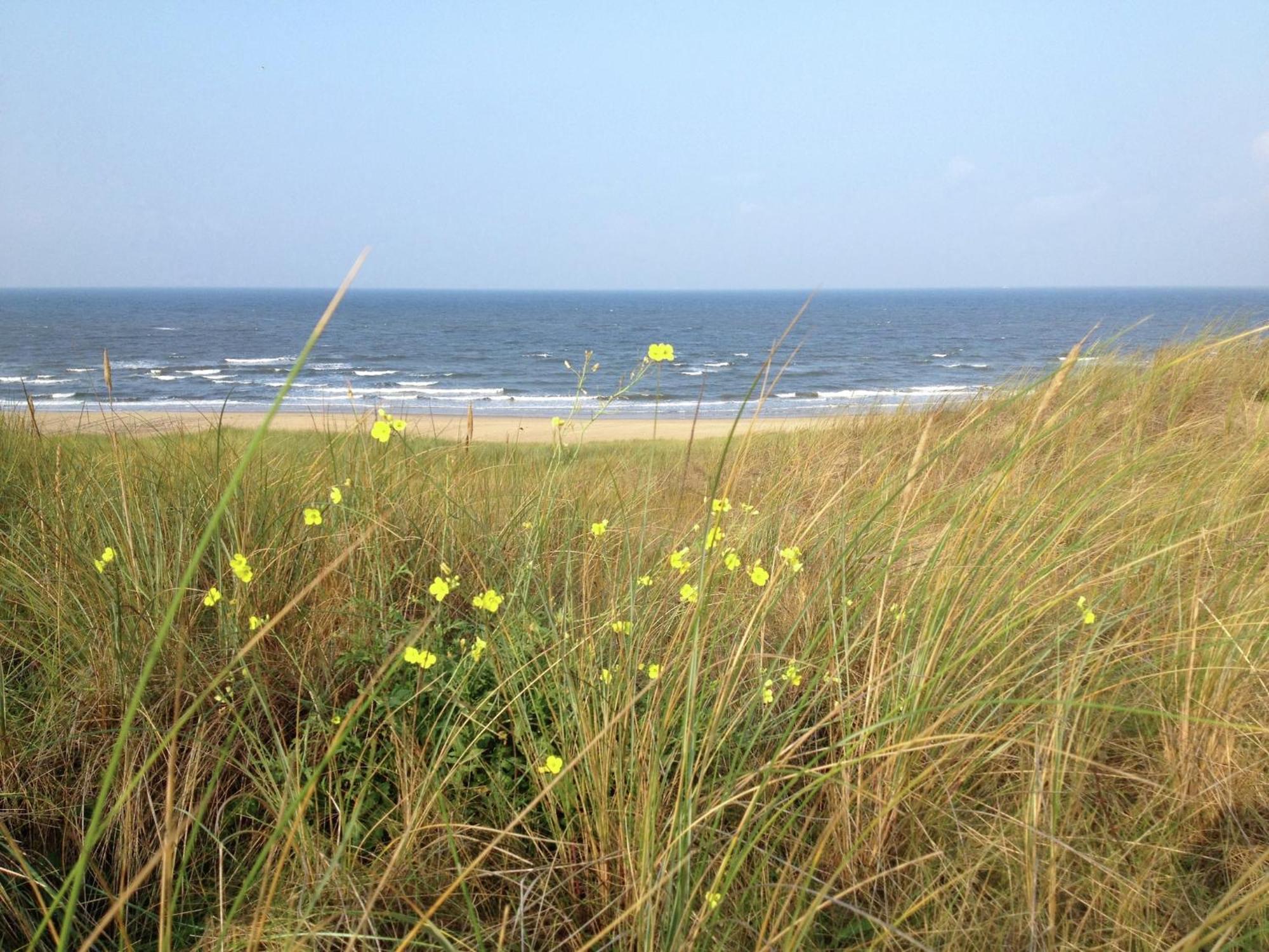 Stunning Apartment In Schoorl North Holland You Can Bike To The Beach 外观 照片